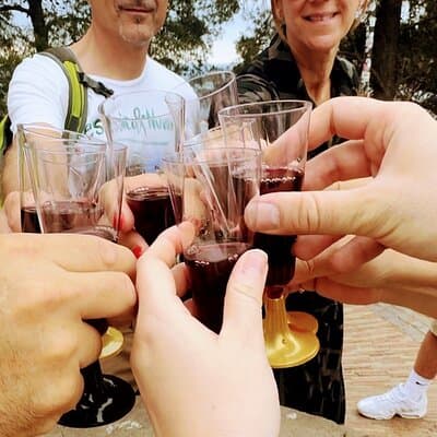 The Best Views of Barcelona: Magic Montjuïc Tour & Wine Tasting!! 5