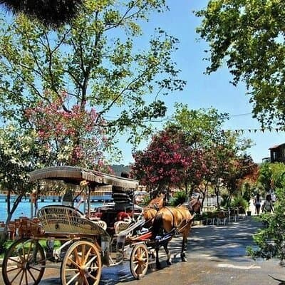 Guided VIP Princes Island Full Day Tour from Istanbul with Lunch 3