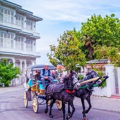 Guided VIP Princes Island Full Day Tour from Istanbul with Lunch 2