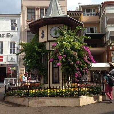 Guided VIP Princes Island Full Day Tour from Istanbul with Lunch 4