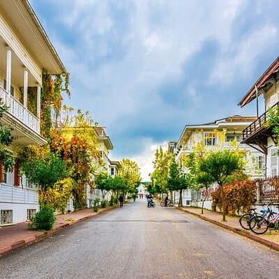 Guided VIP Princes Island Full Day Tour from Istanbul with Lunch 5