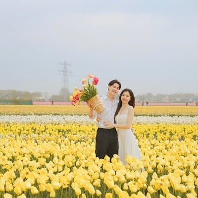 Amsterdam Private Custom Canal, Tulip, Windmill Photoshoot