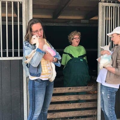 Full-Day Private Guided Countryside Tour from Amsterdam by Bike 2