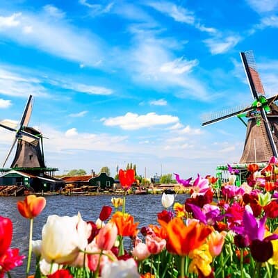 Private Zaanse Schans & Volendam Tour: Windmills, Cheese & Clogs 4
