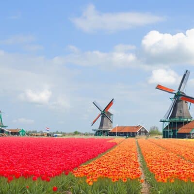 Private Zaanse Schans & Volendam Tour: Windmills, Cheese & Clogs 5