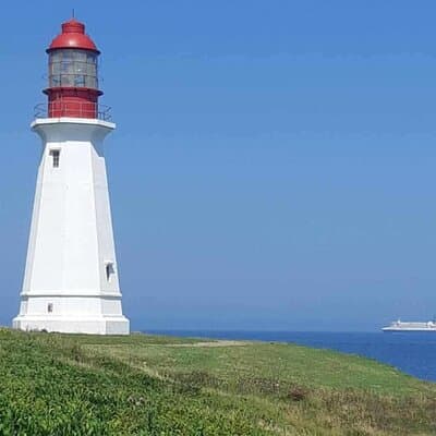 Harbor Highlights: Sydney City Tour 4