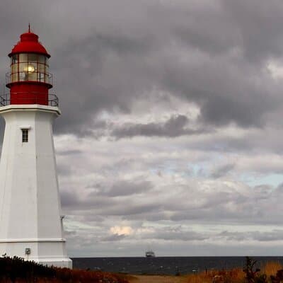 Harbor Highlights: Sydney City Tour