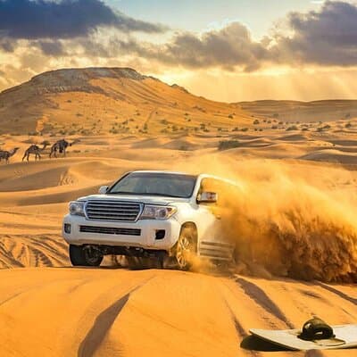 Experience Red Dune Safari Shows, Camels, BBQ & ATV Bike in Dubai