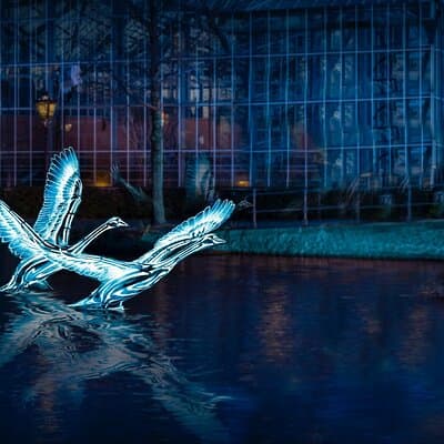 Amsterdam: Light Festival Boat with optional drinks 4