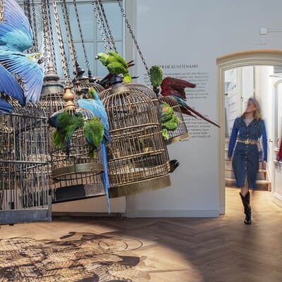 Art Zoo Museum Amsterdam Tickets 2