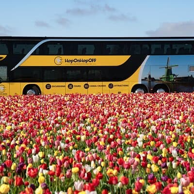 Amsterdam: Day trip to Tulip Farm, Keukenhof + Windmill Cruise 5