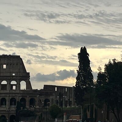 Rome: Colosseum Roman Forum & Palatine Hill guided Tour 3