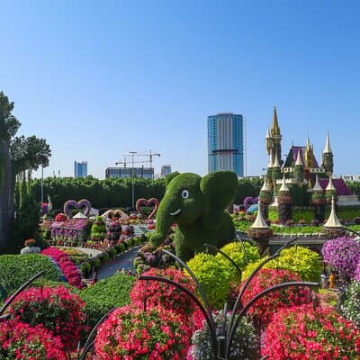 Dubai Miracle Garden Entry Tickets with Optional Hotel Transfers 5