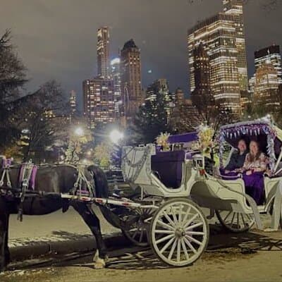 Amazing Horse and Carriage Rockefeller and Christmas lights tour 4