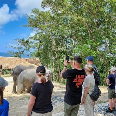 Phuket Highlight Tour Big Buddha Temple and Elephant Sanctuary 3
