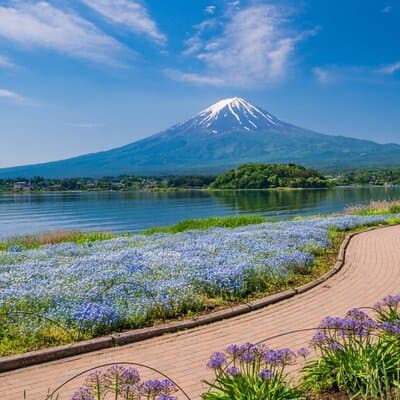 Private Mt Fuji Tour with English Speaking Driver