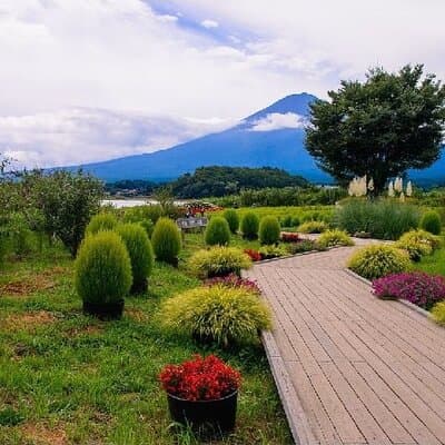 Private Mt Fuji Tour with English Speaking Driver 5