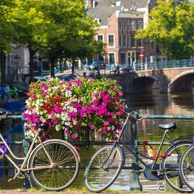 Amsterdam City Highlights and Hidden Gems - Private & Custom Tour 2