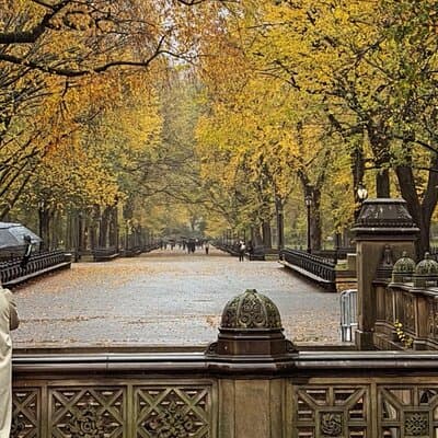 Central Park Pedicab Tour– Top Highlights 2