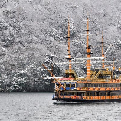 Hakone & Mt Fuji Private Custom Tour with English Driver-guide