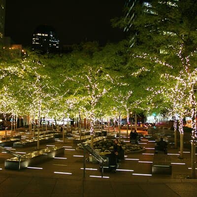 The Dark Christmas Tour (Lower Manhattan) 3