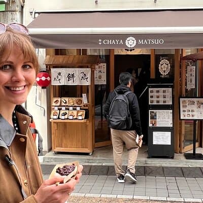 Tokyo Private Walking Tour Hidden Gems and Icons 3