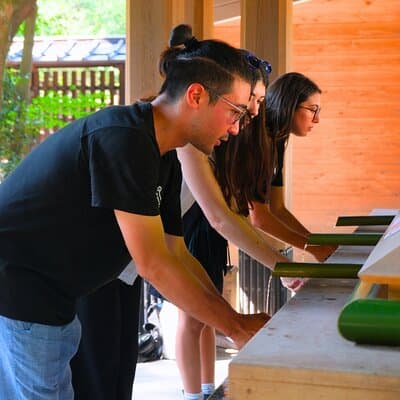 Tokyo Meiji Shrine & Harajuku: Walk Through Japanese Culture 5