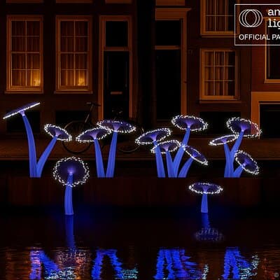 Amsterdam Light Festival Winter Walk with Stroopwafel Workshop 4