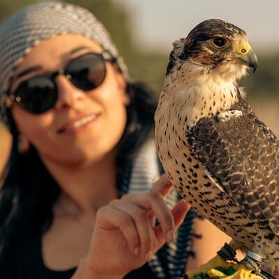 Dubai Half Day Desert Safari ATV or Buggy Ride & Sandboarding 4