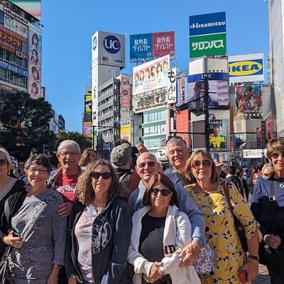 Tokyo Highlights Private Custom Tour with Licensed Guide & Driver