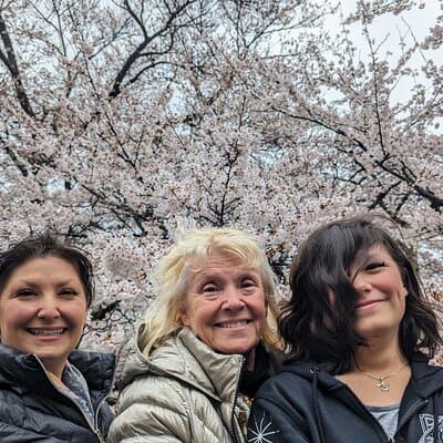 Tokyo Highlights Private Custom Tour with Licensed Guide & Driver 2