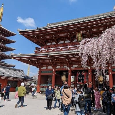 Tokyo Highlights Private Custom Tour with Licensed Guide & Driver 3