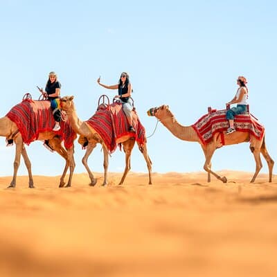 Dubai Half Day Desert Safari ATV or Buggy Ride & Sandboarding 3