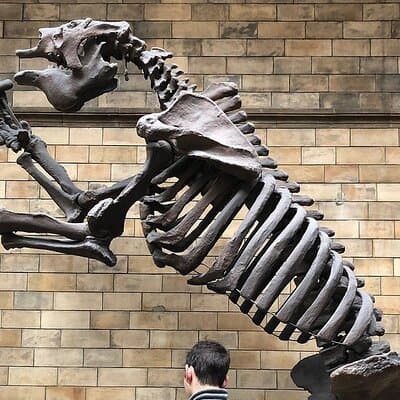 Londons Natural History Museum 2