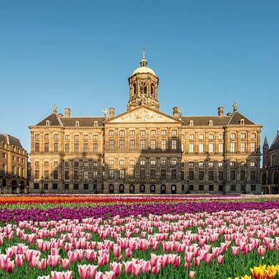 Essential Amsterdam Guided Walking Tour 2