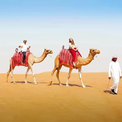 Dubai Safari: Dune Bashing, Camel Rides, Dinner and Stargazing
