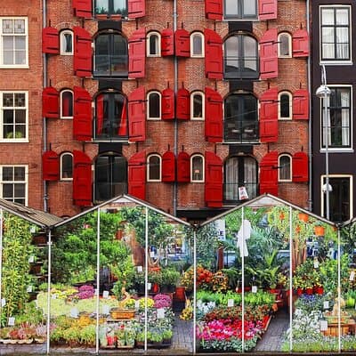 Amsterdam Audio Guided Walking Tour 3h and 21 audio reviews 4