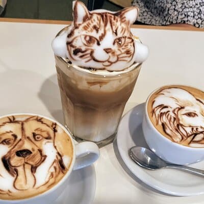 Harajuku Private Tour: Kawaii Fashion & Animal Cafe Included 5