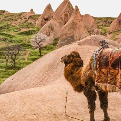Cappadocia Wonders: Travel for Balloons, Camels & Ancient Sites