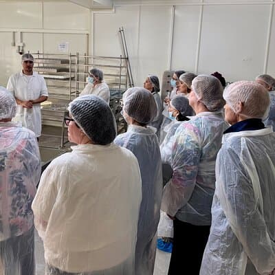 Lisbon Cheese Factory, Wine Tasting & Tile Painting Experience 2