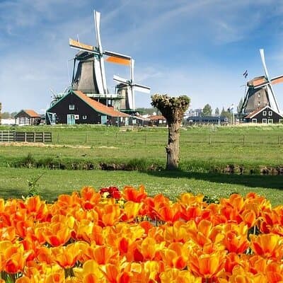 Keukenhof Gardens and Zaanse Schans Windmills Day Tour 2