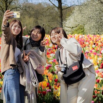 Keukenhof Gardens and Zaanse Schans Windmills Day Tour 4