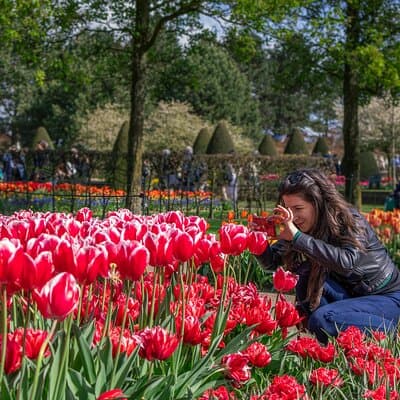 Amsterdam: Keukenhof Entry & Shuttle Bus with Flexible Return 5