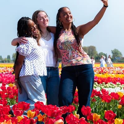 Amsterdam: Half Day Tour Tulip Fields and Tulip Experience 2