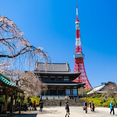 Tokyo Highlights Private Tour with Local Guide 2