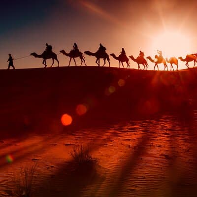 VIP Red Dune Safari with Pick/Drop BBQ/Dinner Camelride Sandbord 4