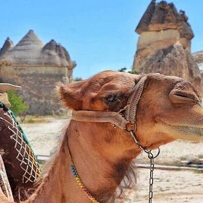 3-Day Cappadocia Tour with Camel Ride & Optional Balloon Ride