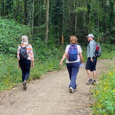 Private Half Day Hiking in Sintra-Cascais Natural Park