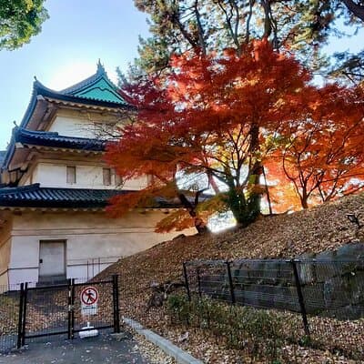 Exclusive Private Imperial Palace=Emperor&(SHOGUN)WI TOKYO NATIVE