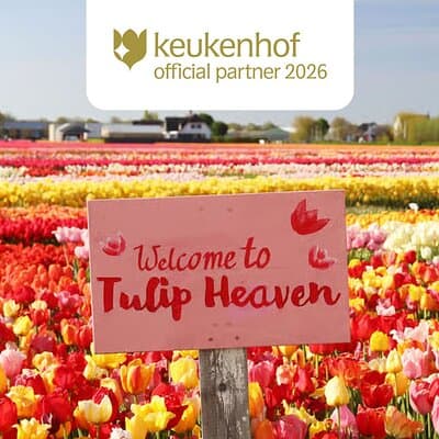 From Amsterdam: Keukenhof and Tulip Experience Tour 3